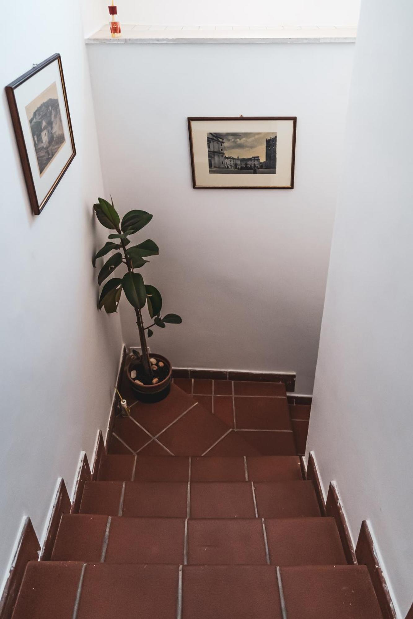 Casina Carina - Intero Appartamento Indipendente Alatri Eksteriør bilde